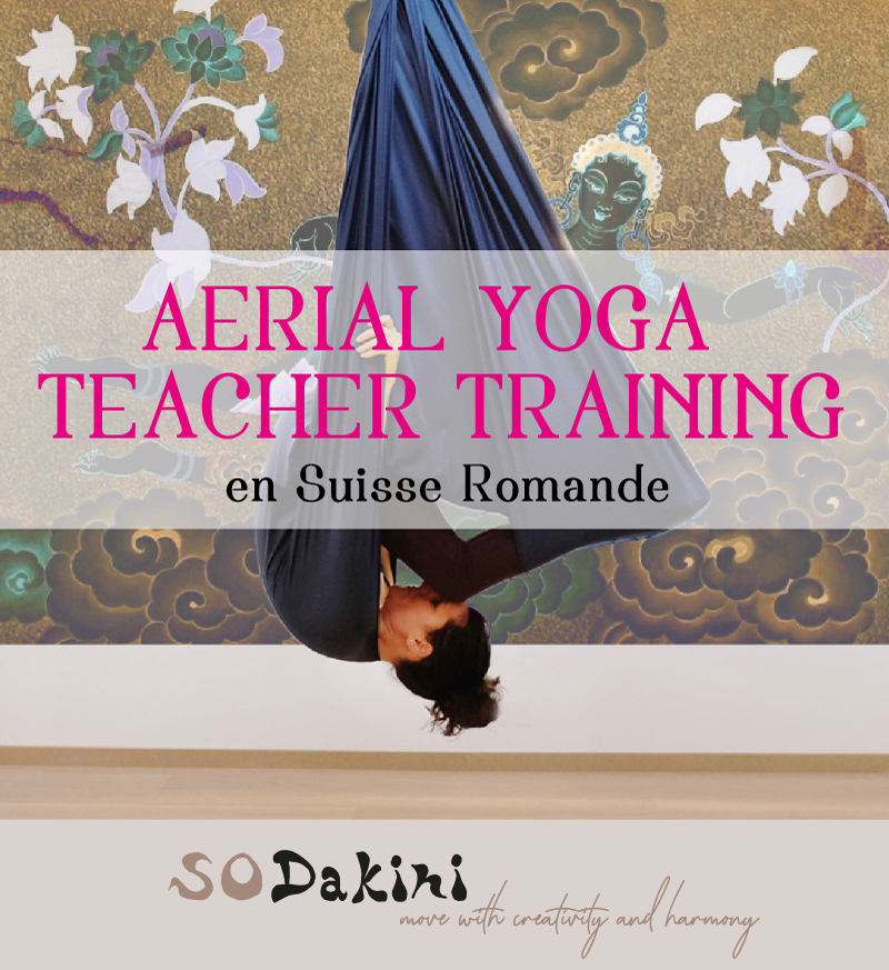 Aerial Yoga Teacher Training EN  SoDakini - move with creativity & harmony  !